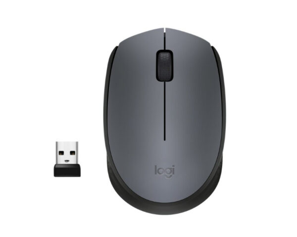 Raton Optico Wireless M170 Nano Receptor Gris Logitech