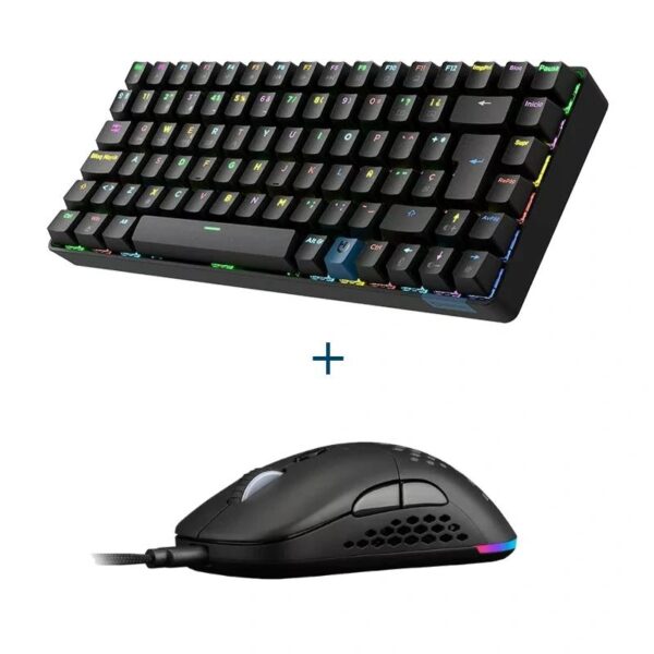 Teclado más ratón